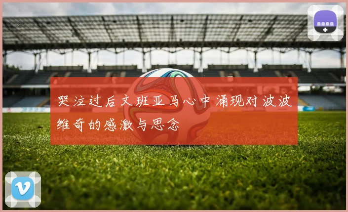 哭泣过后文班亚马心中涌现对波波维奇的感激与思念